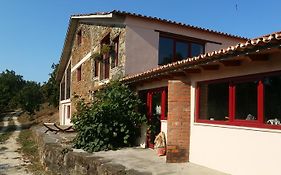 Quinta Casal Maio